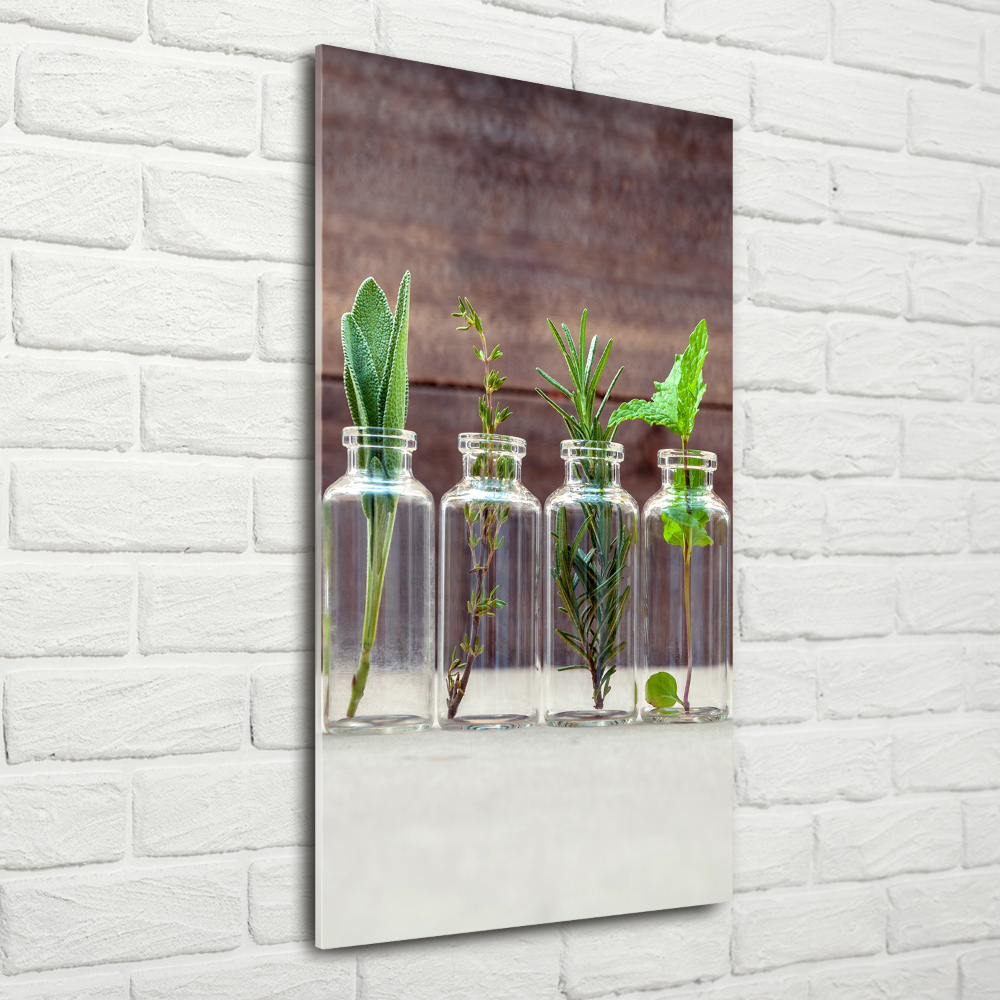 Tableau en verre Herbes en pots