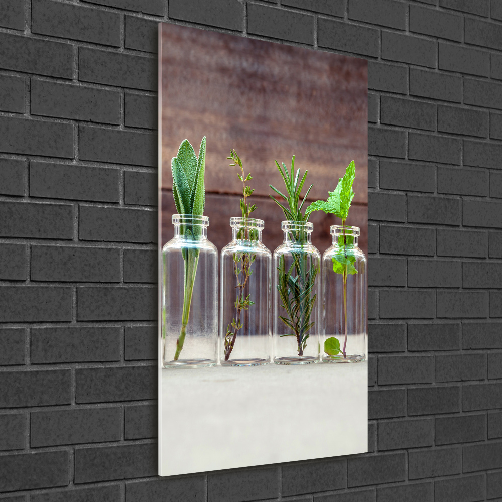 Tableau en verre Herbes en pots