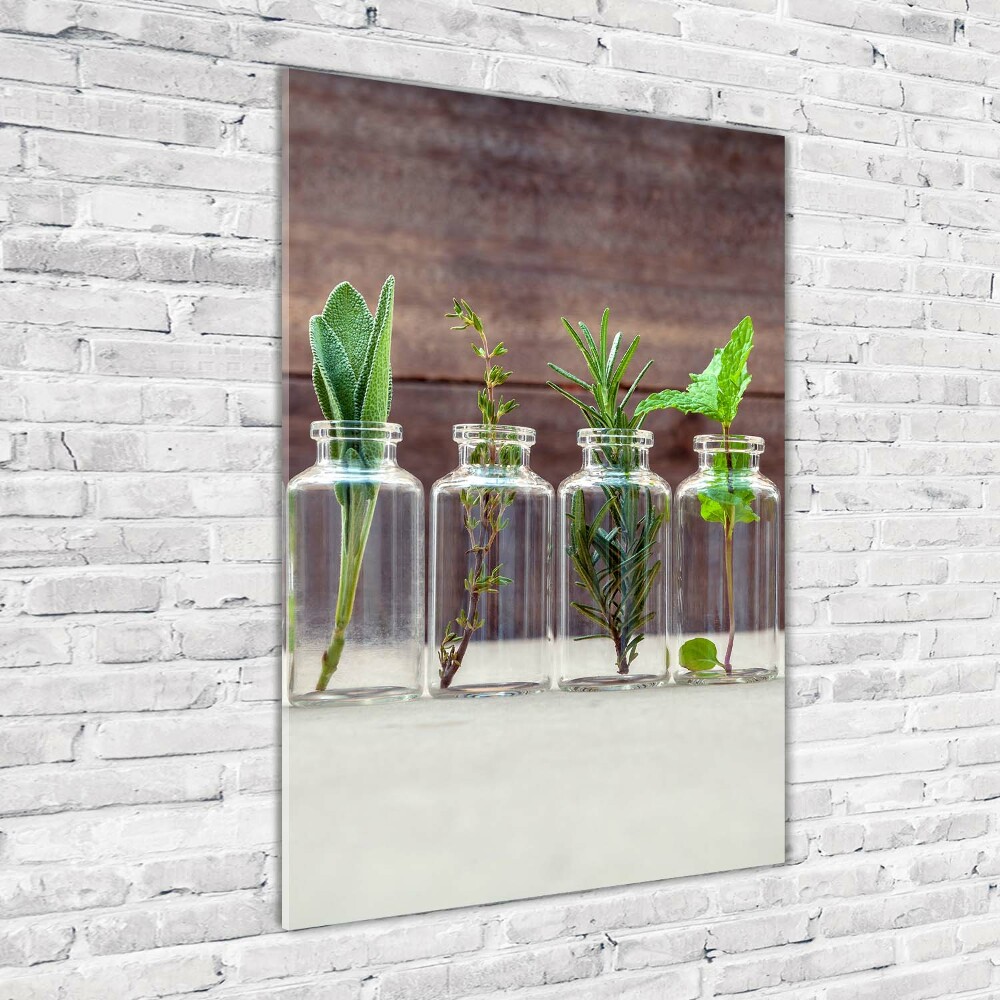 Tableau en verre Herbes en pots