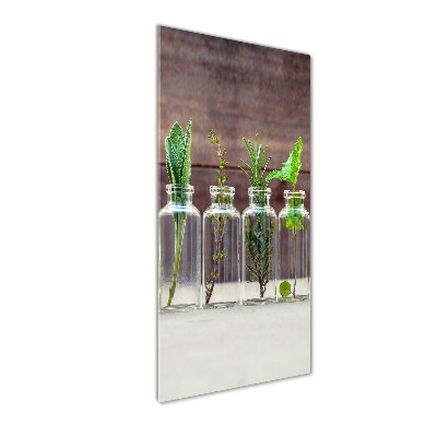 Tableau en verre Herbes en pots