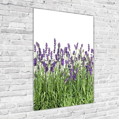 Tableau imprimé sur verre Fleurs violettes de lavande