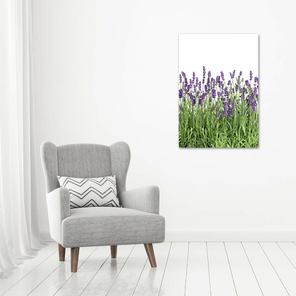 Tableau imprimé sur verre Fleurs violettes de lavande