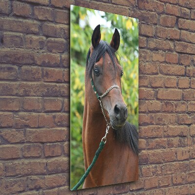 Tableau photo sur verre Portrait d'un cheval