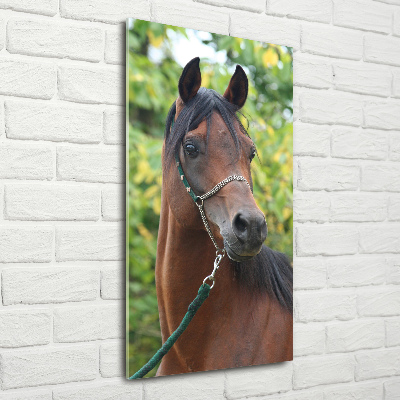 Tableau photo sur verre Portrait d'un cheval