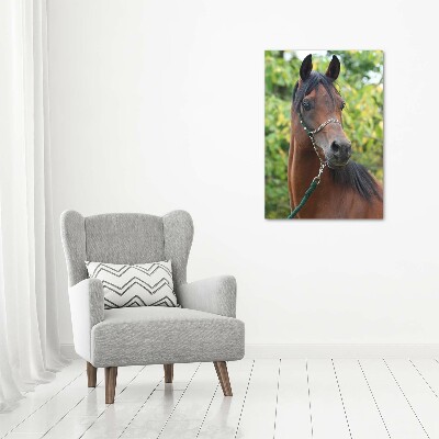 Tableau photo sur verre Portrait d'un cheval