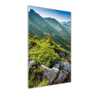 Tableau photo sur verre Montagnes en été