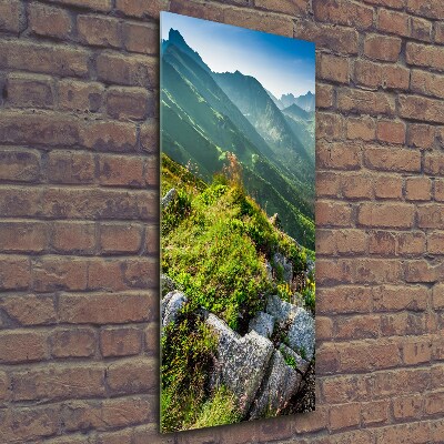 Tableau photo sur verre Montagnes en été