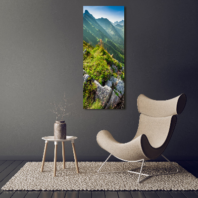 Tableau photo sur verre Montagnes en été