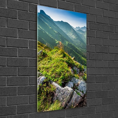 Tableau photo sur verre Montagnes en été