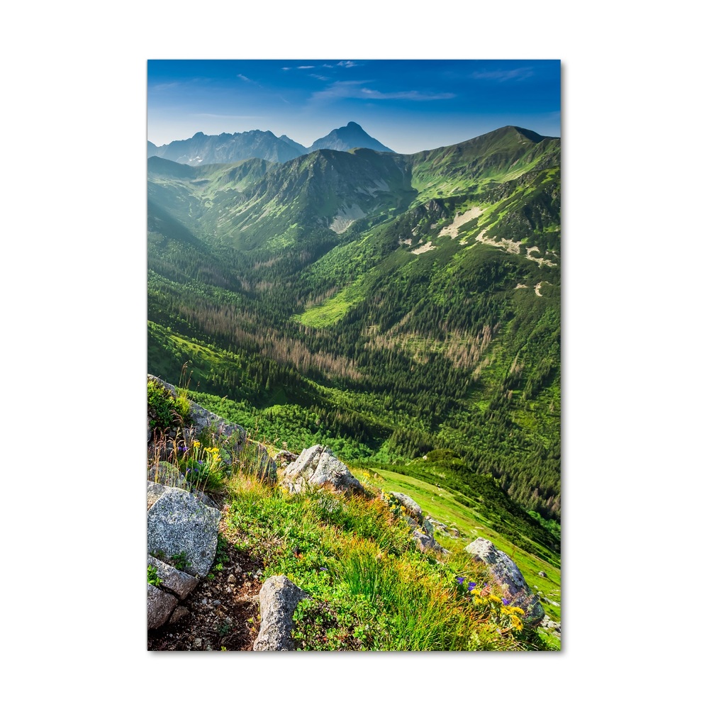 Tableau photo sur verre Montagnes en été