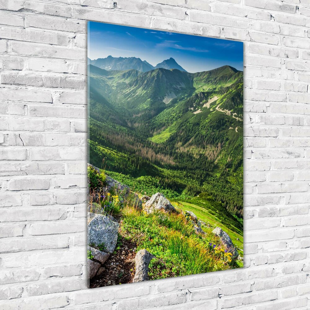 Tableau photo sur verre Montagnes en été