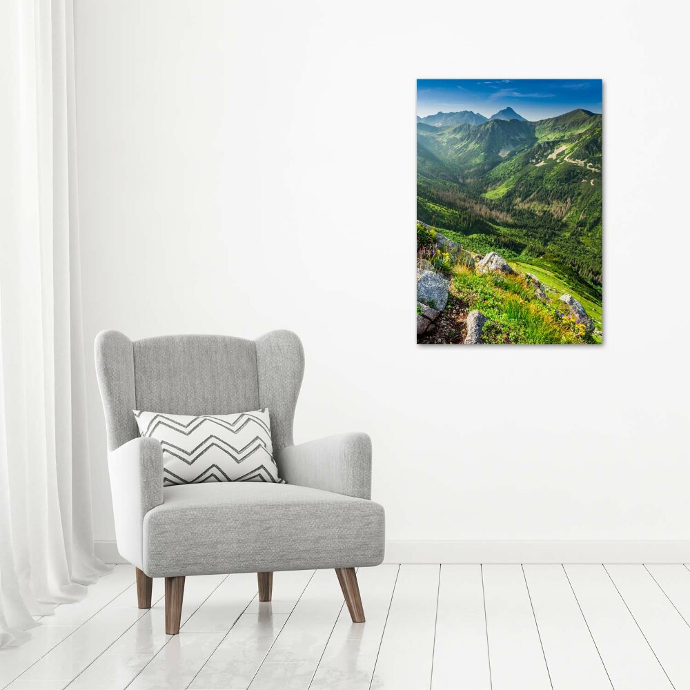 Tableau photo sur verre Montagnes en été