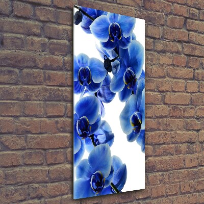 Tableau verre imprimé Orchidée bleue