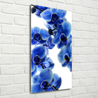 Tableau verre imprimé Orchidée bleue