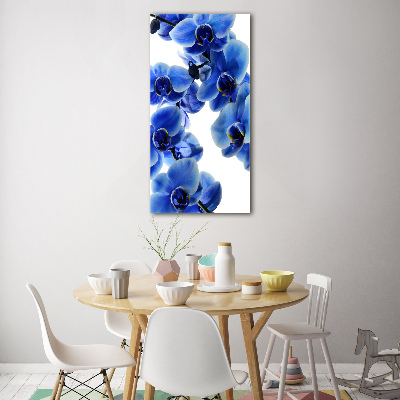 Tableau verre imprimé Orchidée bleue