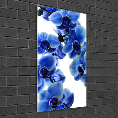 Tableau verre imprimé Orchidée bleue