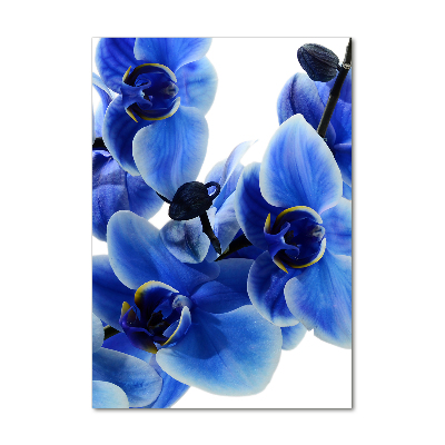 Tableau verre imprimé Orchidée bleue