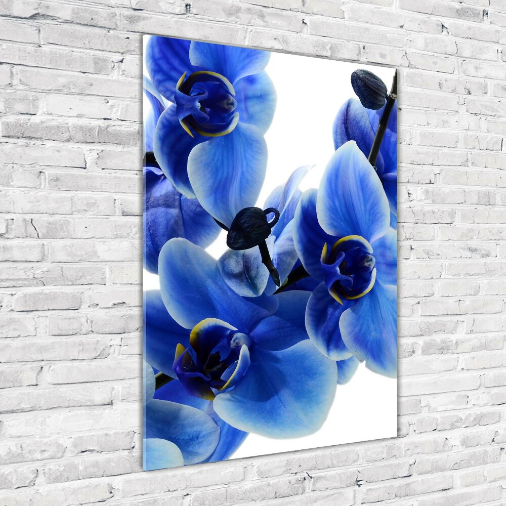 Tableau verre imprimé Orchidée bleue