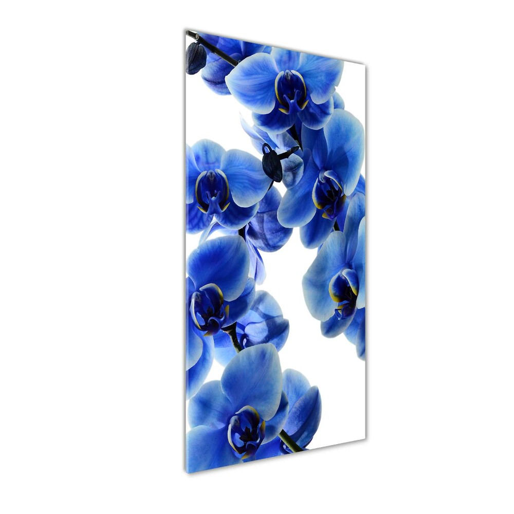 Tableau verre imprimé Orchidée bleue