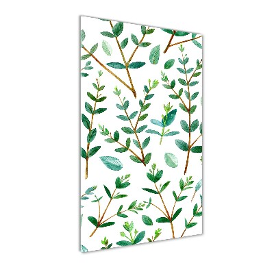 Tableau en verre Branches d'eucalyptus