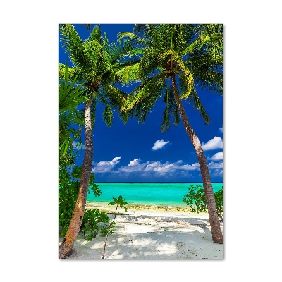 Tableau sur verre Plage tropicale palmiers