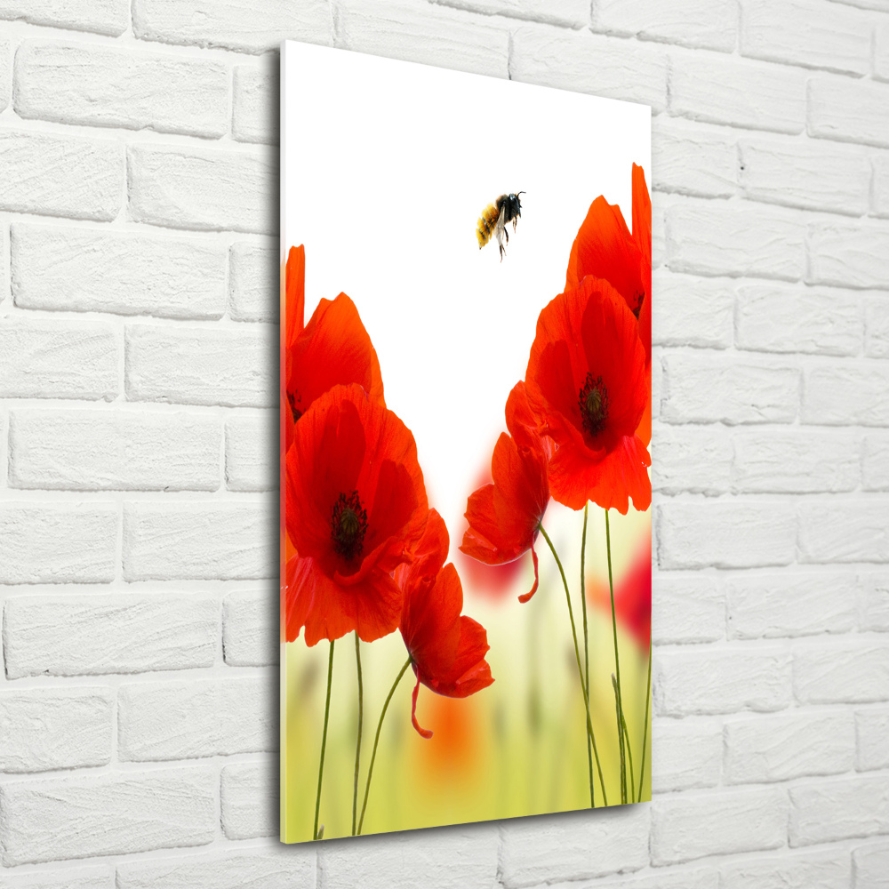 Tableau en verre Fleurs de coquelicots rouges