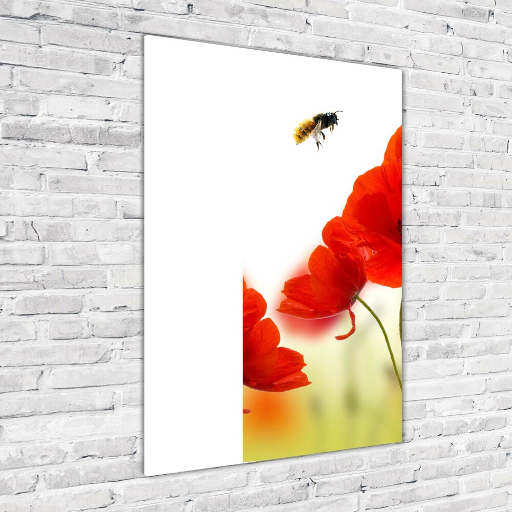 Tableau en verre Fleurs de coquelicots rouges