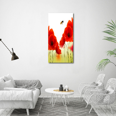 Tableau en verre Fleurs de coquelicots rouges