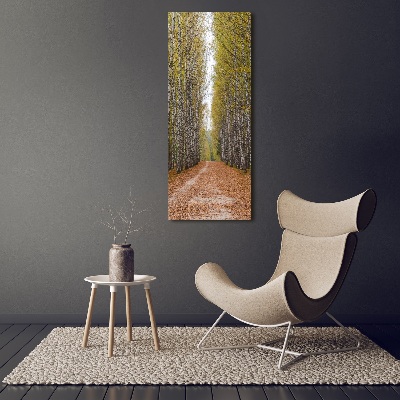 Tableau imprimé sur verre Forêt de bouleaux