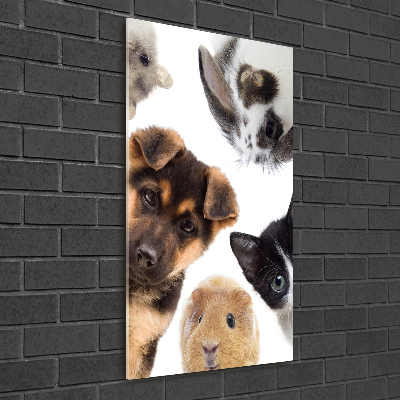 Tableau imprimé sur verre Animaux domestiques