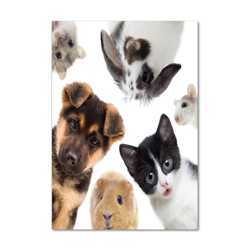 Tableau imprimé sur verre Animaux domestiques