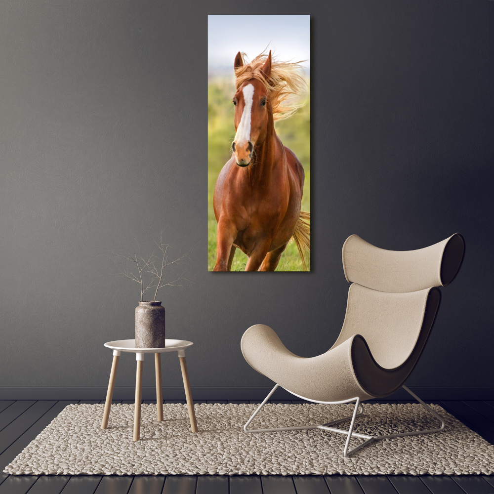 Tableau sur verre Cheval au galop