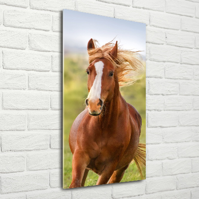 Tableau sur verre Cheval au galop