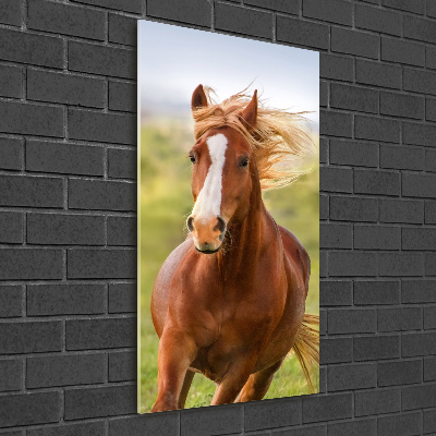 Tableau sur verre Cheval au galop