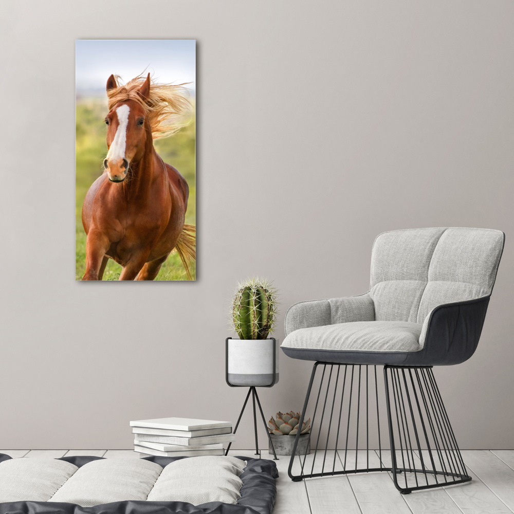 Tableau sur verre Cheval au galop