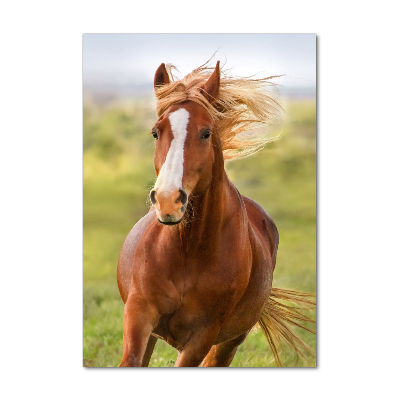 Tableau sur verre Cheval au galop