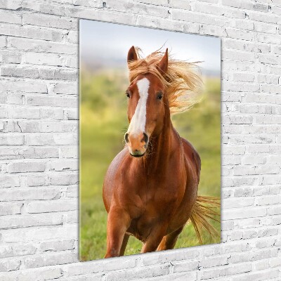 Tableau sur verre Cheval au galop