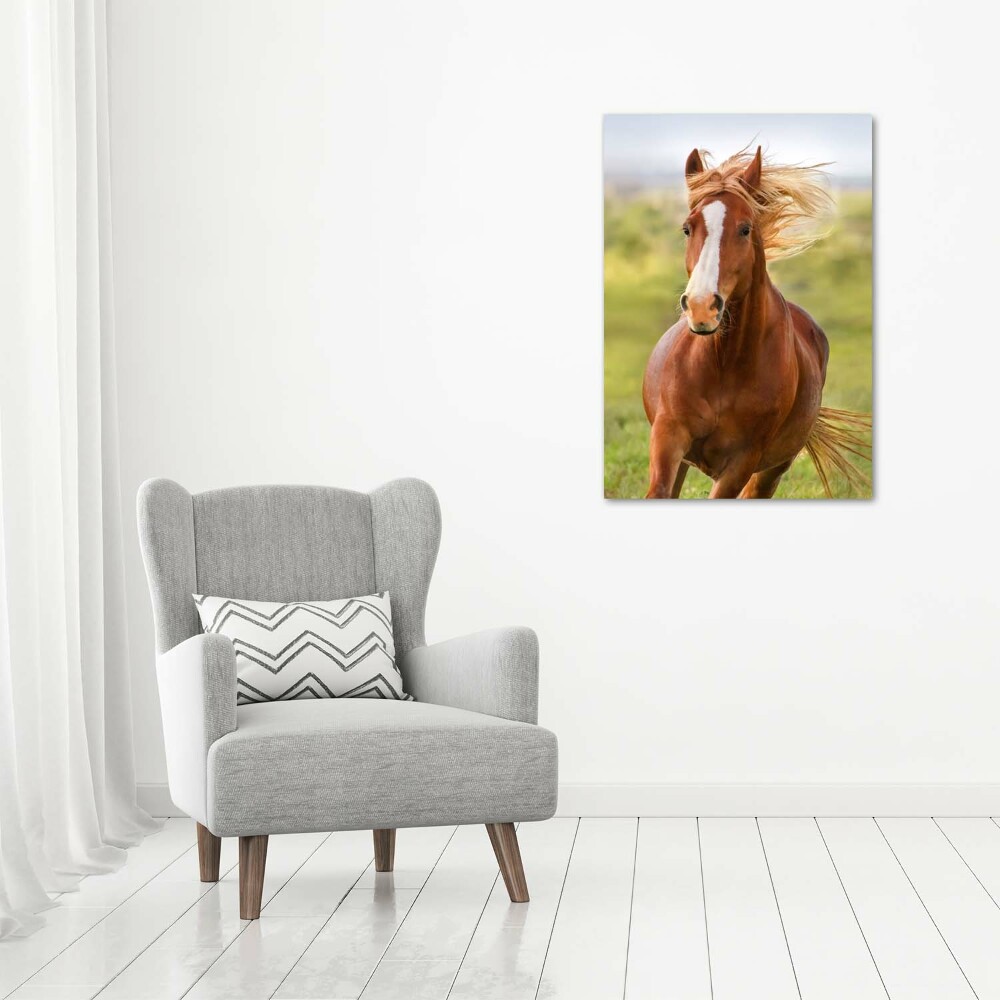 Tableau sur verre Cheval au galop