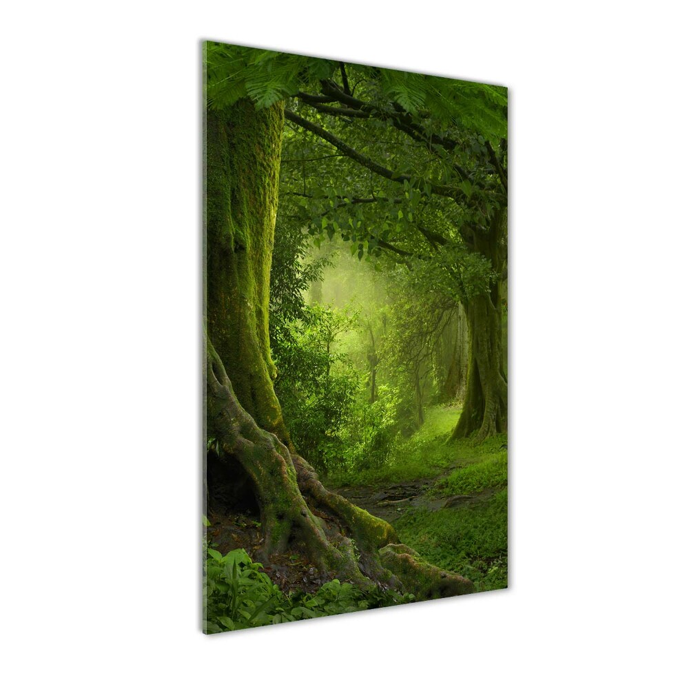 Tableau photo sur verre Jungle tropicale