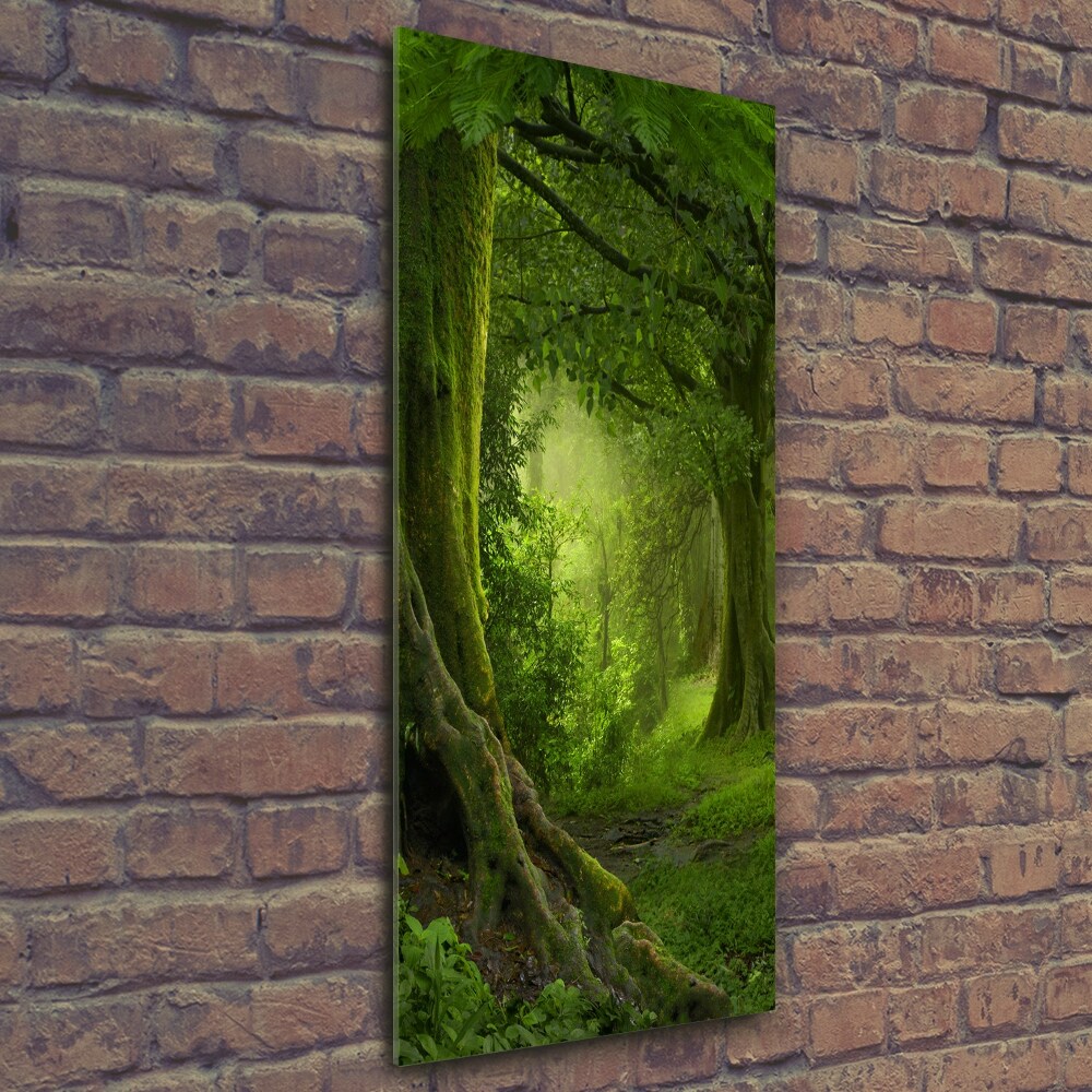 Tableau photo sur verre Jungle tropicale