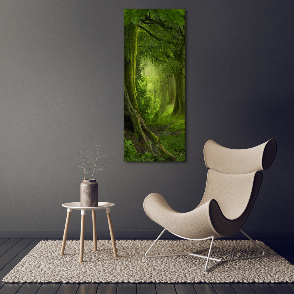 Tableau photo sur verre Jungle tropicale