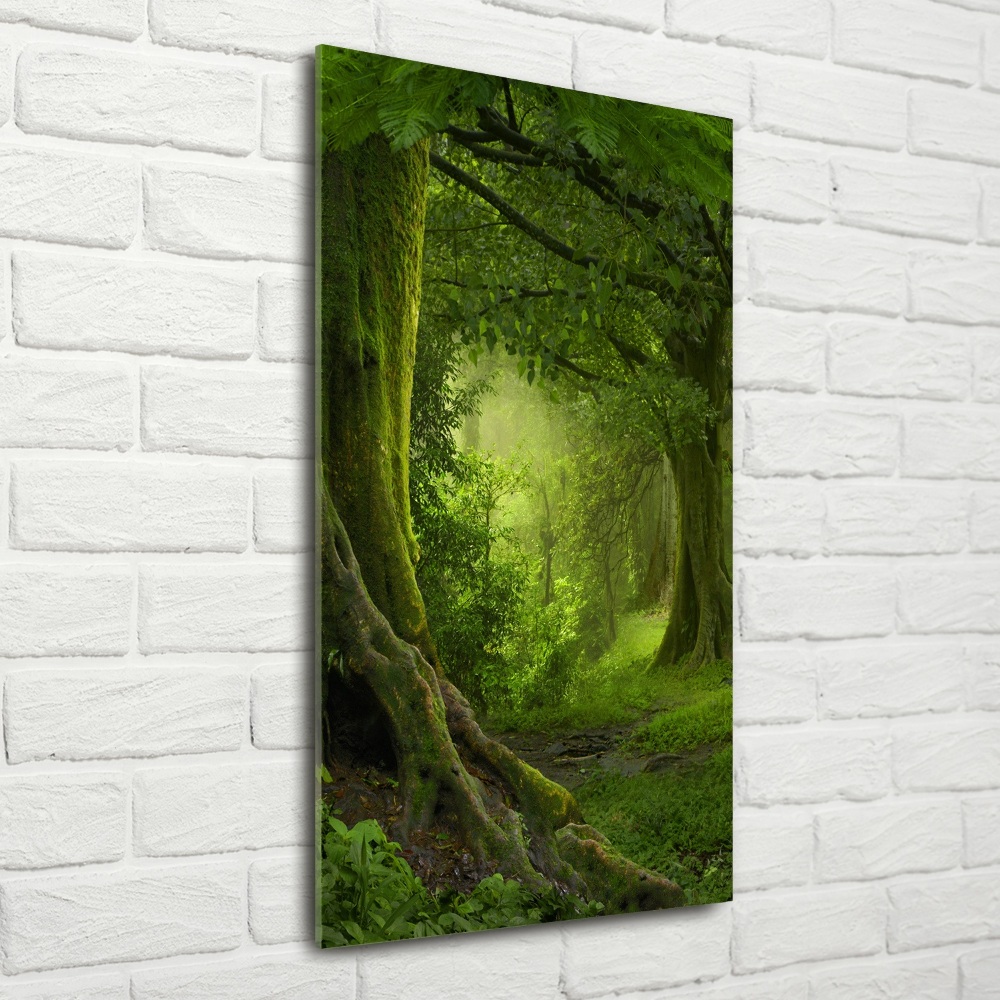 Tableau photo sur verre Jungle tropicale