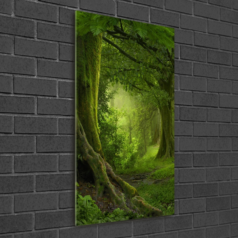 Tableau photo sur verre Jungle tropicale