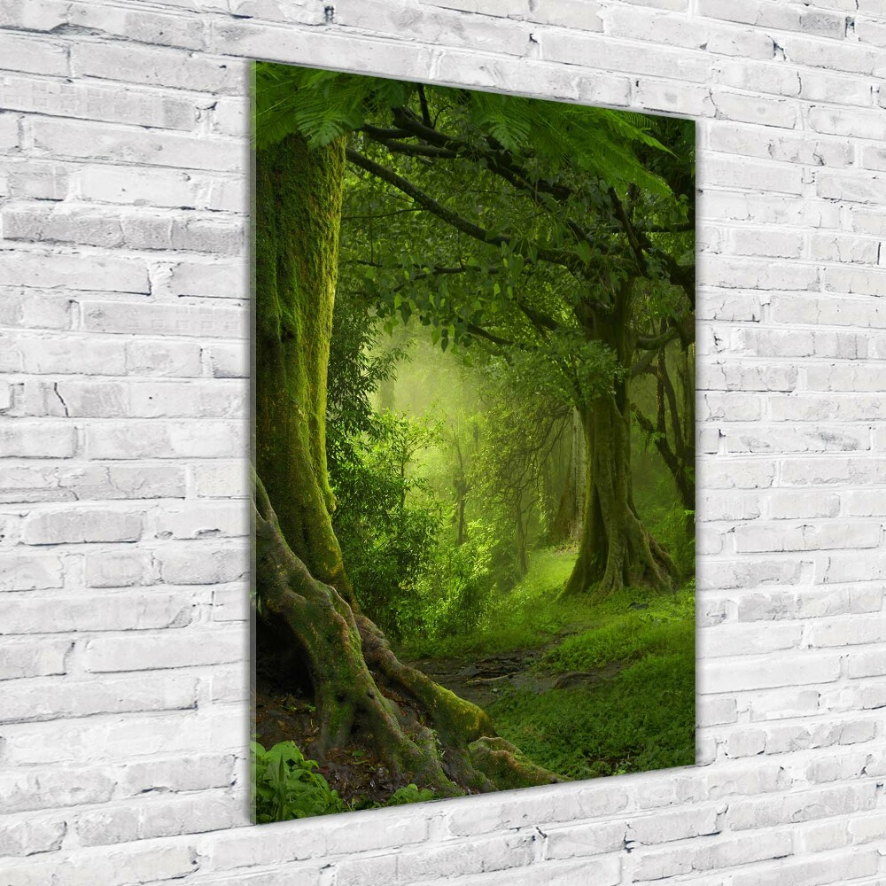 Tableau photo sur verre Jungle tropicale