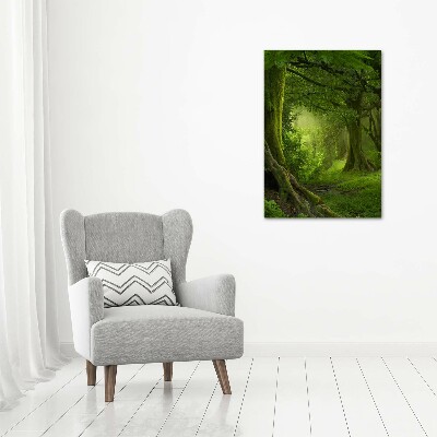 Tableau photo sur verre Jungle tropicale