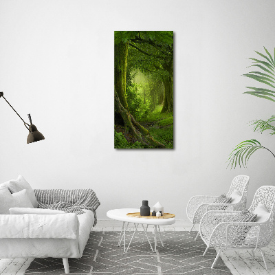 Tableau photo sur verre Jungle tropicale