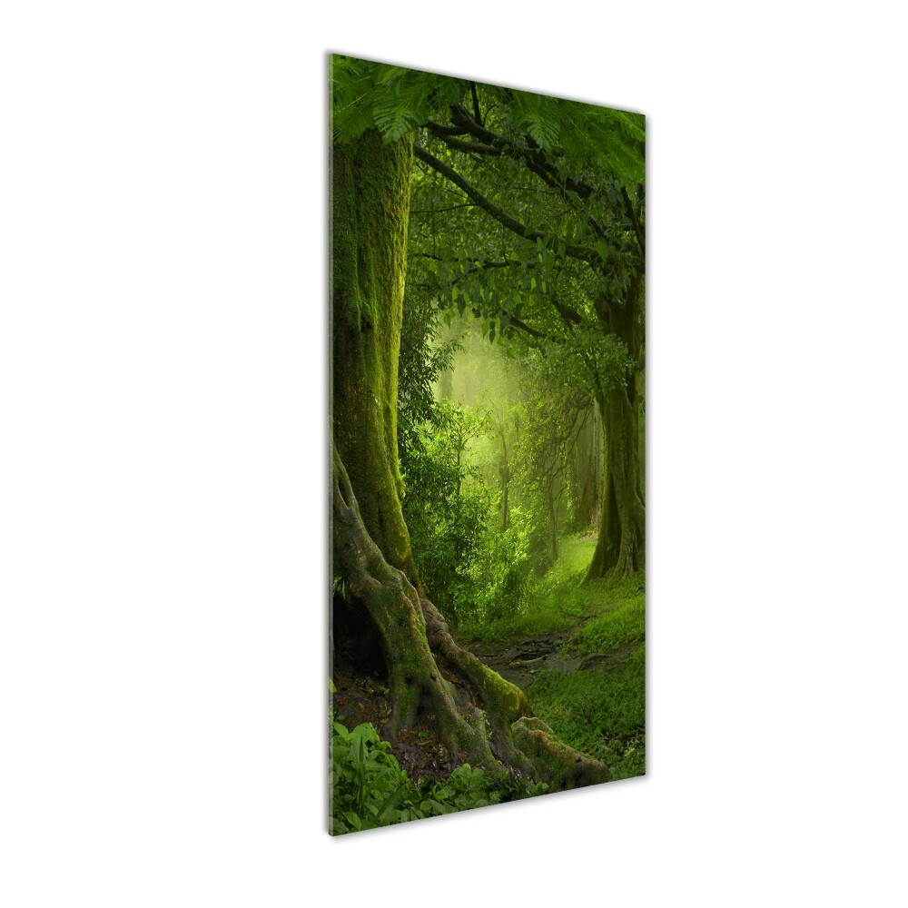 Tableau photo sur verre Jungle tropicale