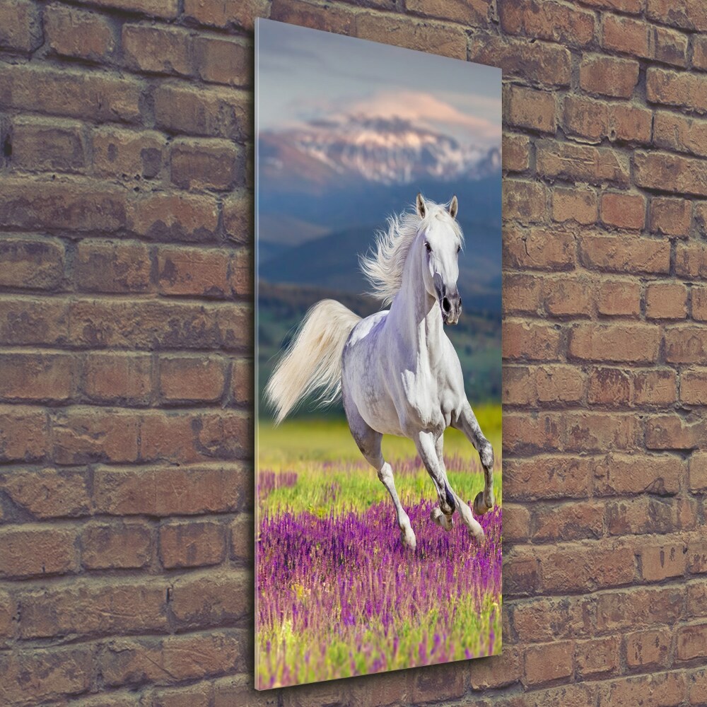 Tableau photo sur verre Cheval blanc au galop