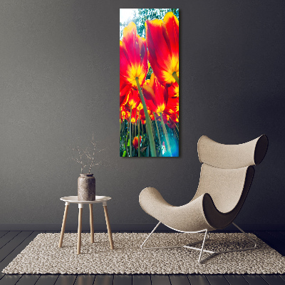 Tableau photo sur verre Tulipes rouges