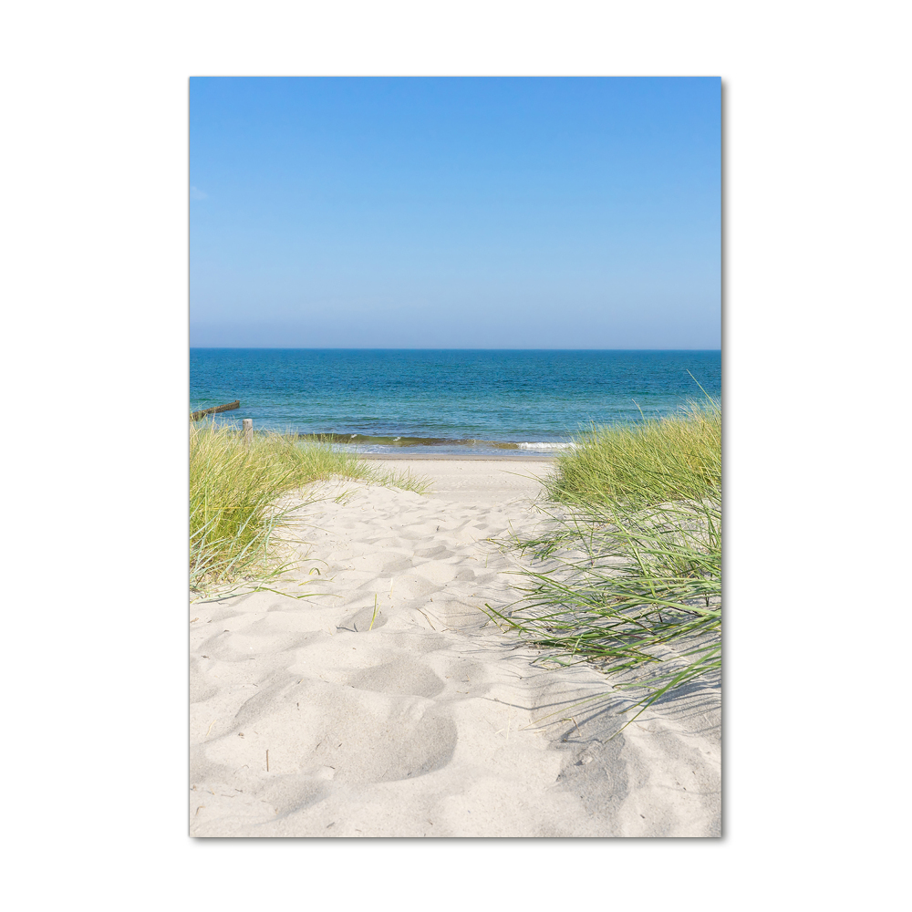 Tableau en verre Dunes en bord de mer